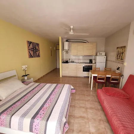 With Garden Appartement Arona (Tenerife)