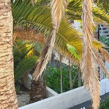 With Garden * Arona (Tenerife)