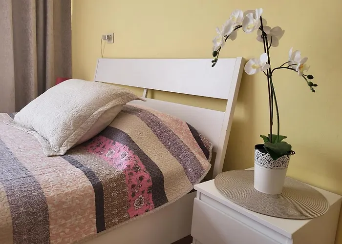 With Garden Apartamento